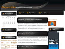 Tablet Screenshot of lesblaguesdroles.com